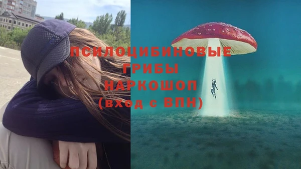 PSILOCYBIN Балахна