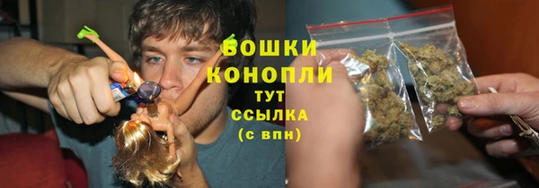 PSILOCYBIN Балахна