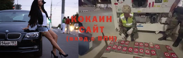 PSILOCYBIN Баксан