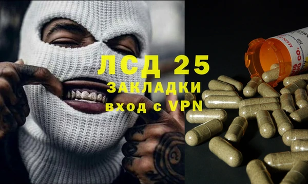 PSILOCYBIN Балахна
