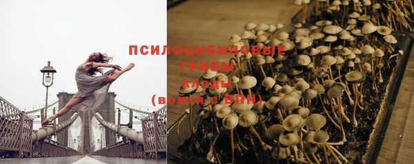 PSILOCYBIN Баксан