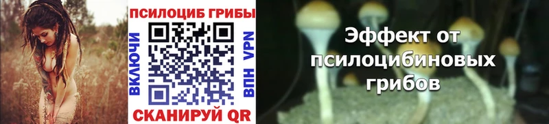 Галлюциногенные грибы Psilocybe купить наркотик Вольск